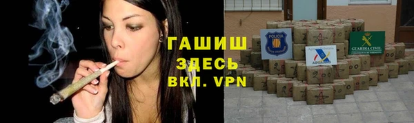 сатива Алзамай