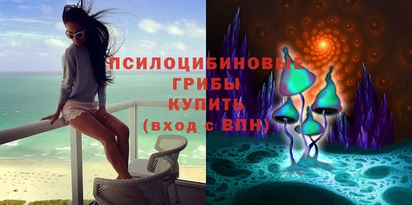 сатива Алзамай