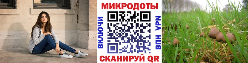 hydra как зайти  где можно купить   Карпинск  Галлюциногенные грибы MAGIC MUSHROOMS 